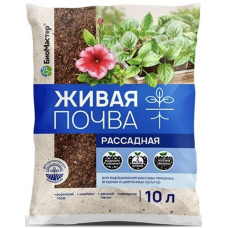 Грунт 